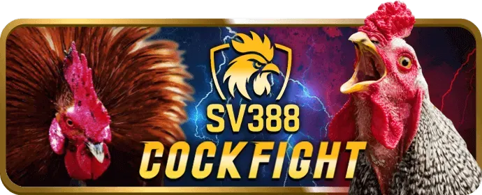 Chương trình VIP Club rongbk